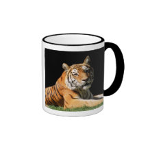 Tiger Closeup Coffee Mugs
