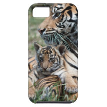Tiger Cub