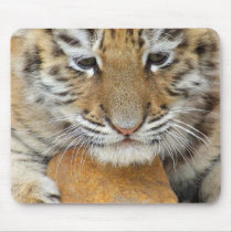 Tiger Cub Mouse Pad