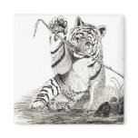 Tiger cub playing magnet