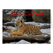 Tiger Cub Profile Holiday Card