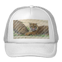 Tiger Cubs Baseball Hat