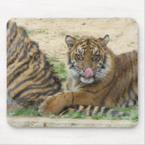 Tiger Cubs Mouse Pad
