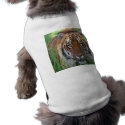 Tiger pet clothing