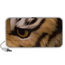 Tiger Eye Speaker speakers