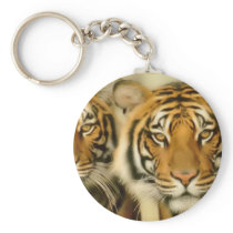 Tiger Eyes Key Chains