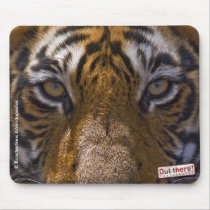 Tiger Eyes mousepads