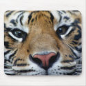Tiger Eyes Mousepad