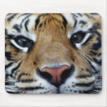 Tiger Eyes Mousepad