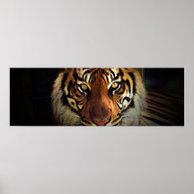 Tiger Eyes Poster - Wild Life Posters