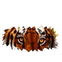 TIGER EYES (sculpted) Big Cat Wildlife Gift Item Photo Cut Out