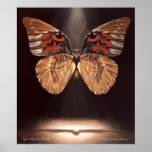 Tiger Face Butterfly Poster posters