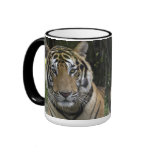 Tiger Face Close up Mug