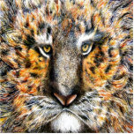 Tiger Face Photo Sculpture photo sculptures