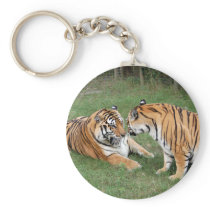 Tiger Friends-008