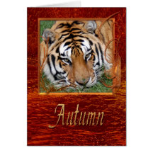 tiger-friends-12 cards