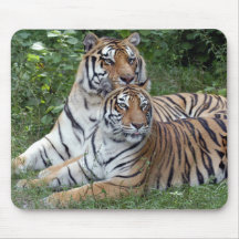tiger-friends-b-1 mousepad