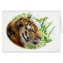 TIGER IN BAMBOO cards