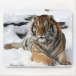 Tiger in Snow mousepads