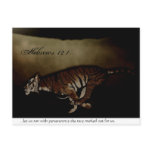 Tiger Inspirational Encouragment to Run the Race!