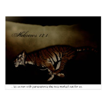 Tiger Inspirational Encouragment to Run the Race! Postcards