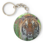 Tiger keychains
