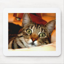 Tiger Kitty Mouse Pads