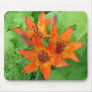 Tiger Lilies Mouse Pad