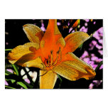Tiger Lilly 2 Card