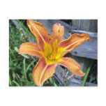 Tiger Lilly Post Card