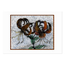 Tiger Lilly Profile Card Business Card