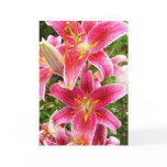 Tiger Lily Bouquet