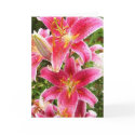 Tiger Lily Bouquet cards