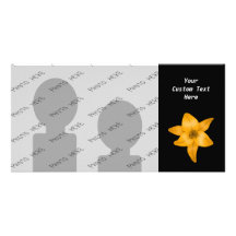 Tiger Lily Flower on Black. Photo Card Template