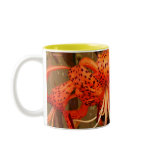 'Tiger Lily' Coffee Mugs