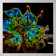 tiger Lily Poster 3