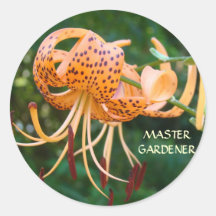 TIGER LILY STICKERS Master Gardener Gifts Flowers