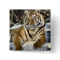 Tiger Lovers Art Gifts Pin
