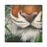 Tiger Magnet