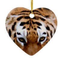 Tiger Markings  Ornament