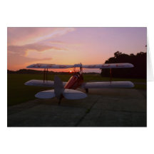 Tiger Moth Greeting Card