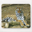 Tiger mousepads