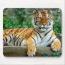 Tiger Mousemats