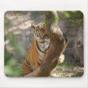 Tiger Mousepad