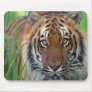 Tiger Mouse Pads