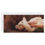 Tiger - My Chew Toy rack cards