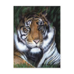 Tiger Painting Postcard