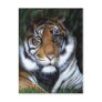 Tiger Painting Postcard
