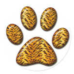 Tiger Paw #1