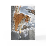Tiger Peek Cards